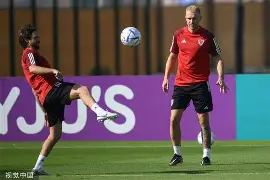 加时末段体能课后，皇家社会远射贴柱备战足总杯，管理层满意，球探报告显示潜力的简单介绍